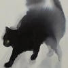StrixKitty