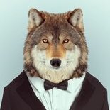 BrushWolf